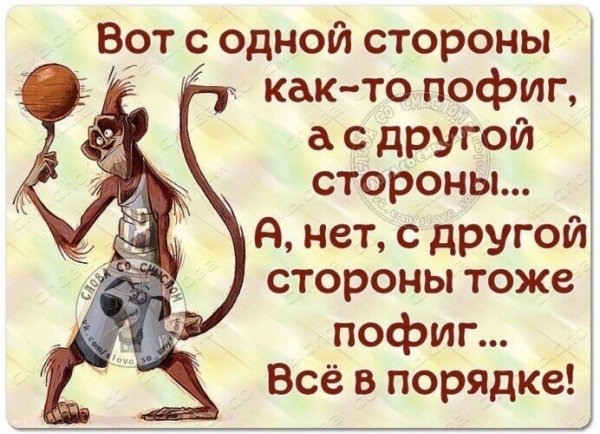 Цитаты мне пофиг