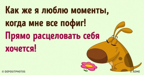 Цитаты про пофигизм