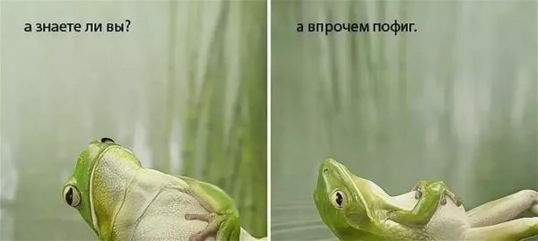 А знаете ли вы а впрочем пофиг