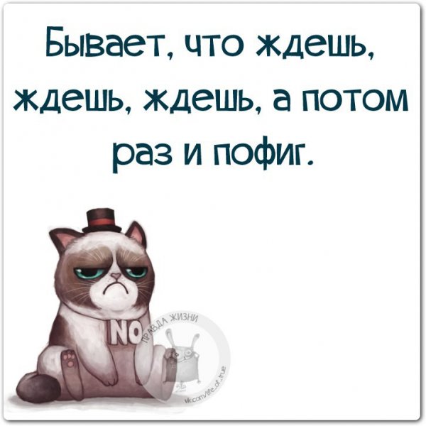Правда жизни юмор мотивация