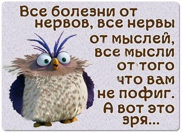 Смешные статусы про нервы