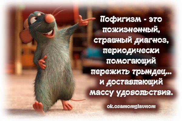 Цитаты про пофигизм
