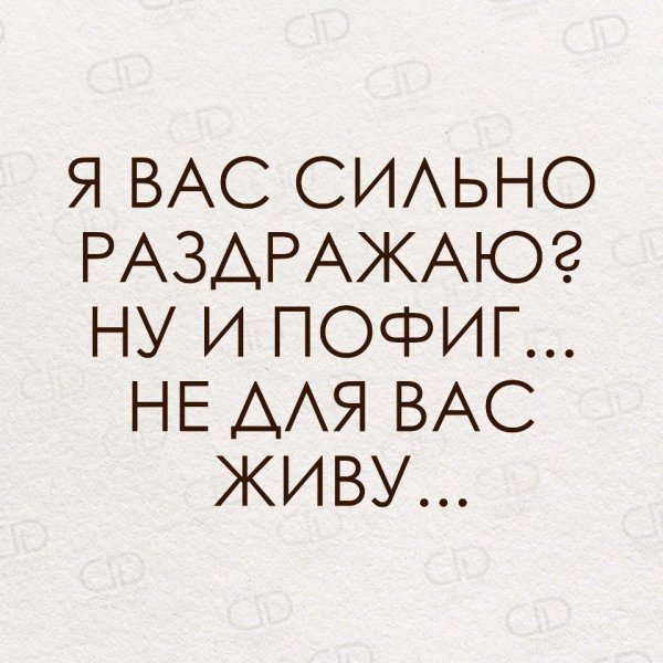 Цитаты на всё пофиг