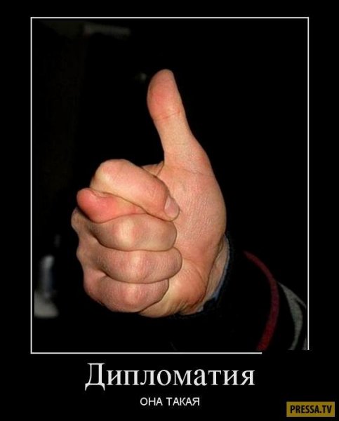 Демотиваторы дипломатия