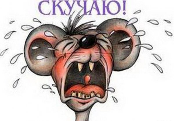 Я скучаю картинки прикольные