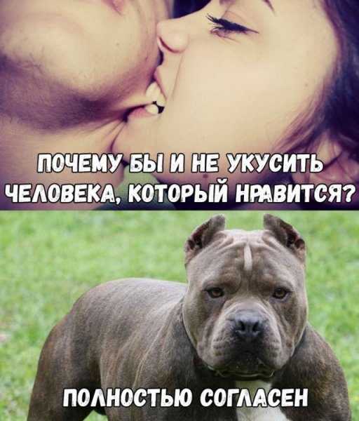 Укусить любимого человека