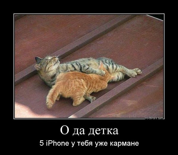Картинки хочешь меня смешные