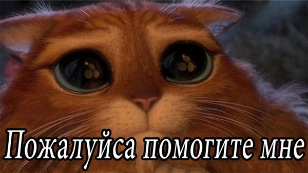 Помоги мне пожалуйста