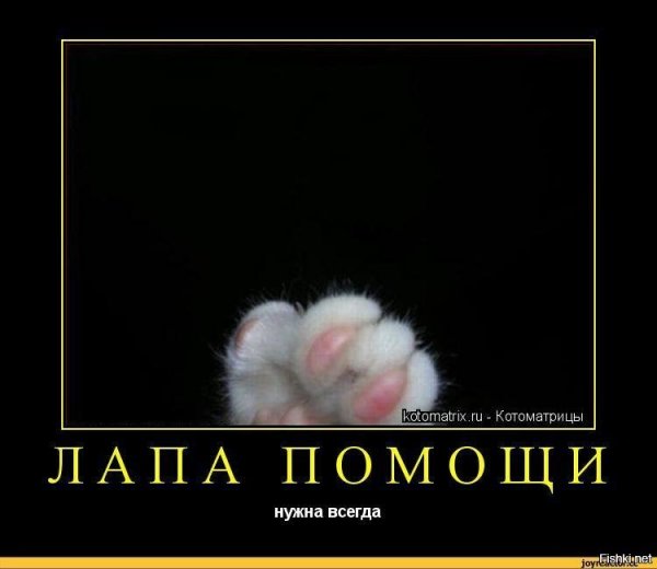 Смешные слова поддержки