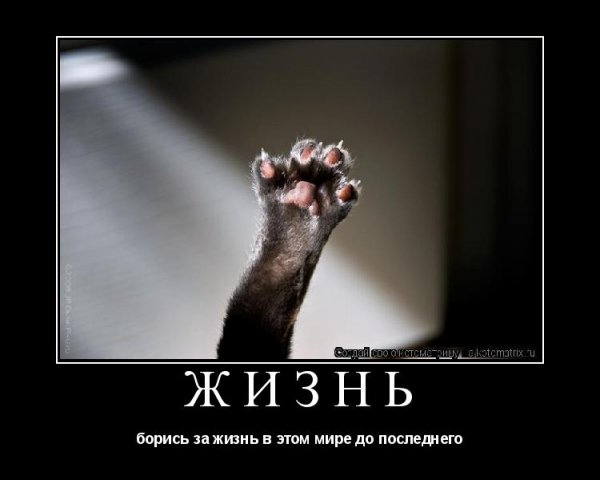 Жизнь борьба