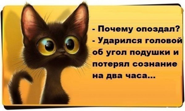 Фразы для поднятия настроения