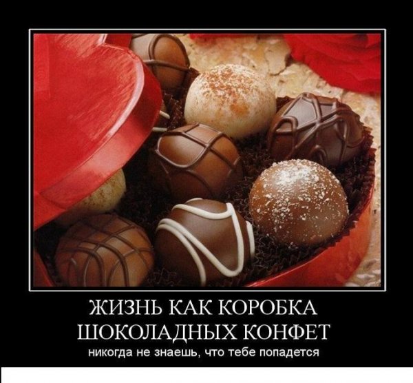 Конфеты шоколадные прикол