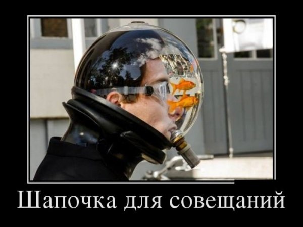 Совещание прикол