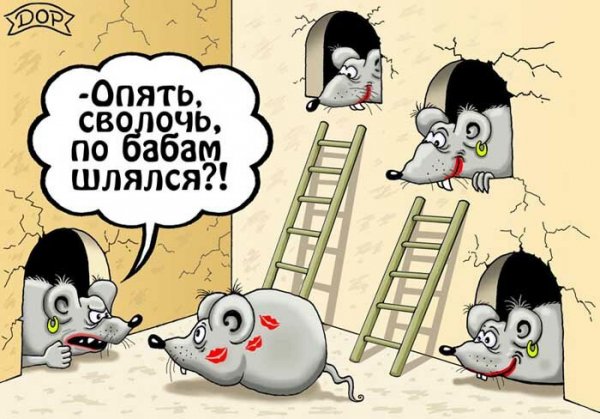 Бабник карикатура