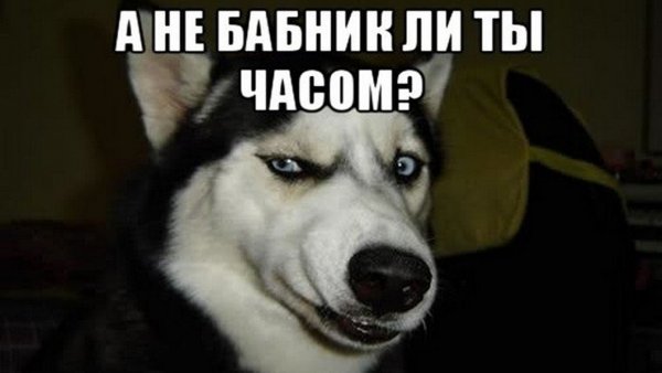 Бабник юмор
