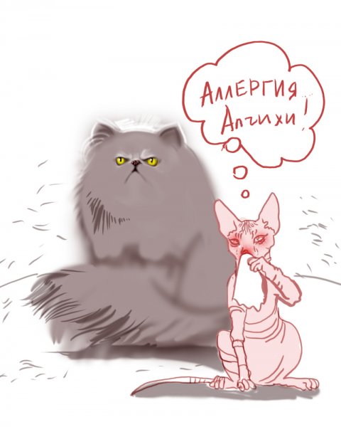 Аллергия смешные картинки