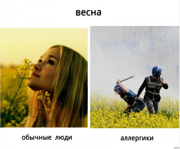 Мемы про аллергиков