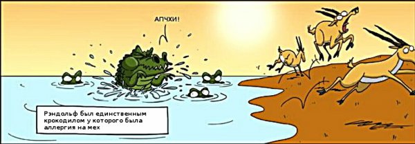 Аллергия смешные картинки