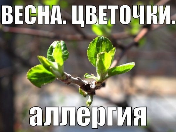 Весенний Мем