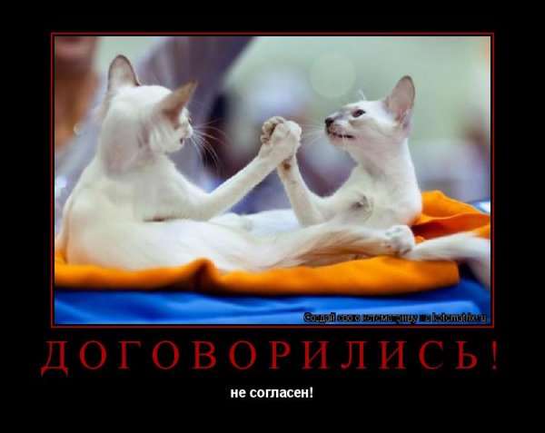 Договорились юмор