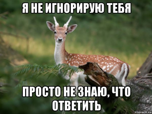 Общается с бывшей