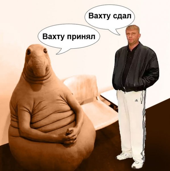 Вахтовик смешные
