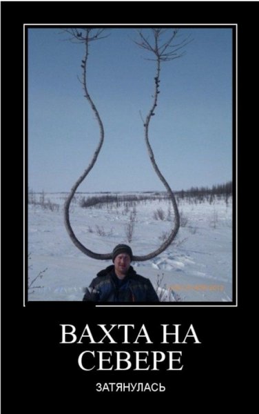 Вахта приколы
