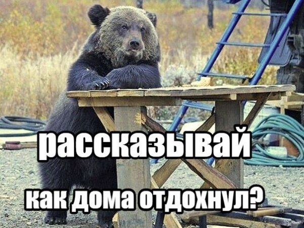 Вахта приколы