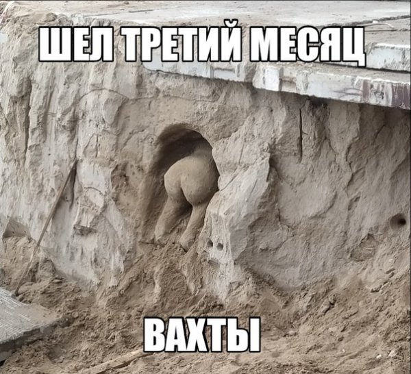 Вахта приколы