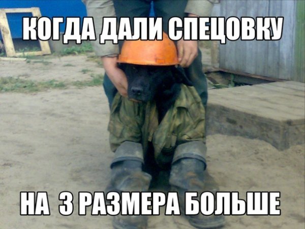 Вахта приколы
