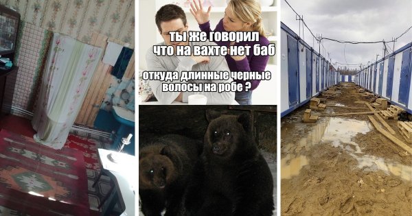 Вахта приколы