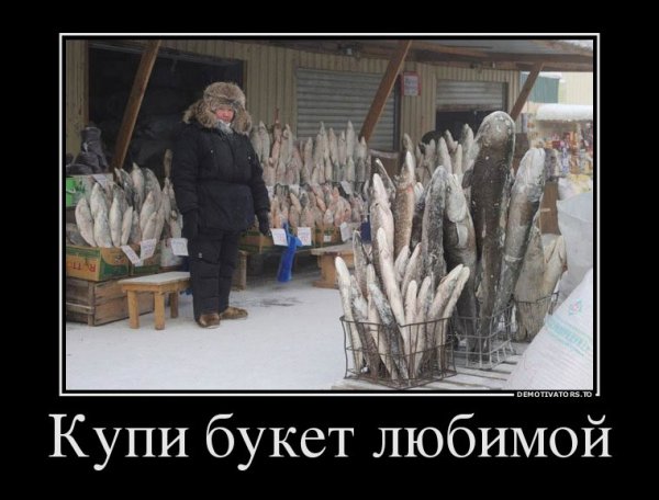Демотиваторы про Север