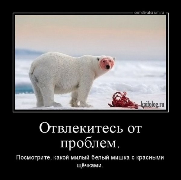 Мишка демотиватор