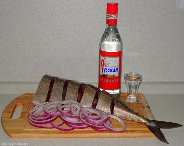Водка селедка