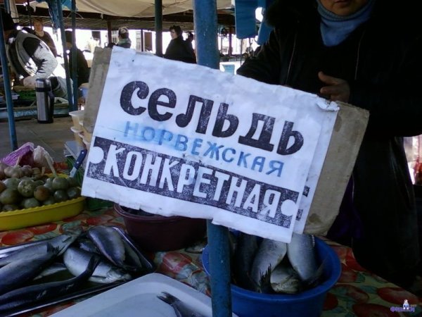 Селёдка смешно