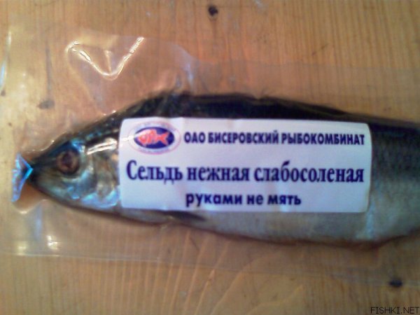 Сельдь прикол