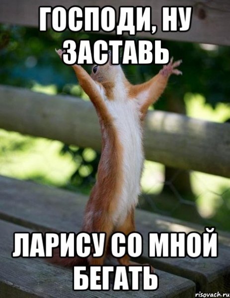 Привет Лариса открытка