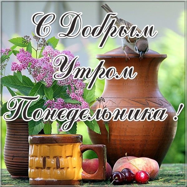 С добрым утром понедельника