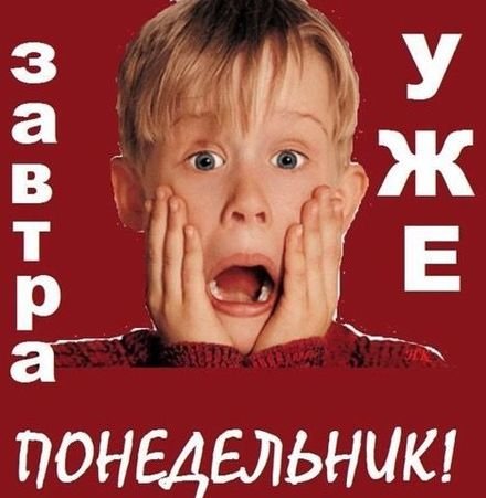 Завтра понедельник котики