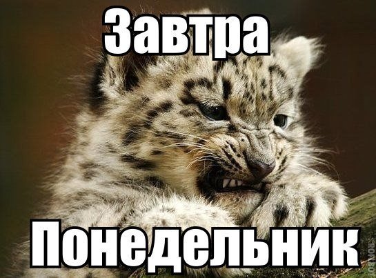 Завтра опять понедельник