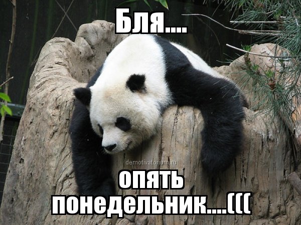 И снова понедельник