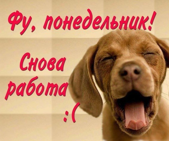 Демотиваторы завтра понедельник