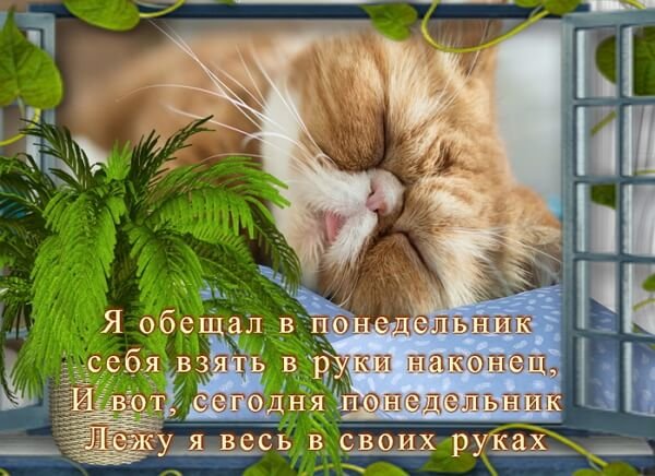 Стих про понедельник