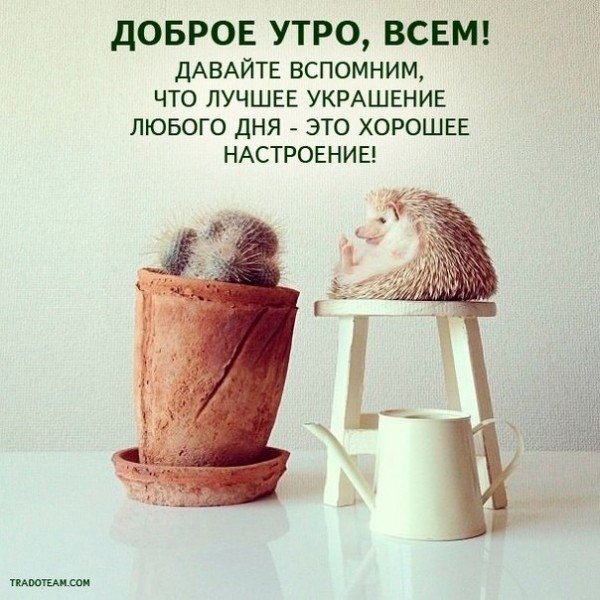 Доброе утро группа