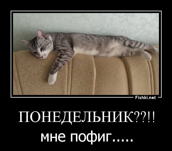 Понедельник выходной картинки