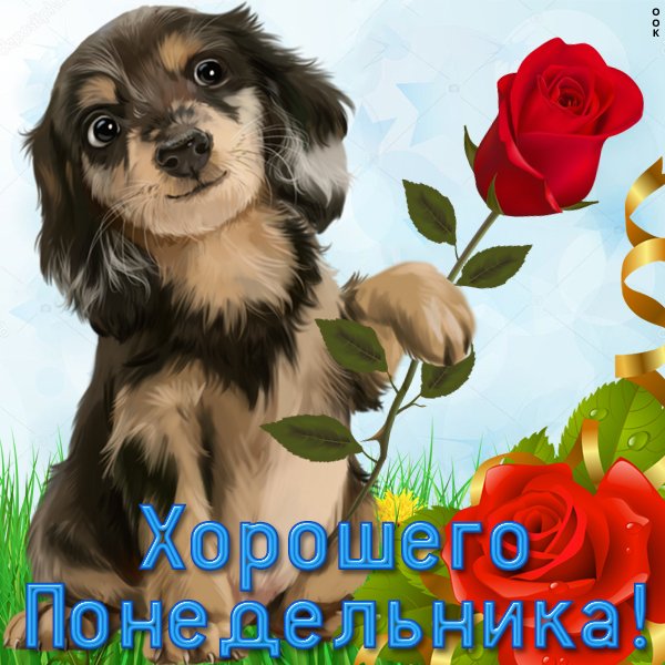 Открытка позитивного понедельника прикольные