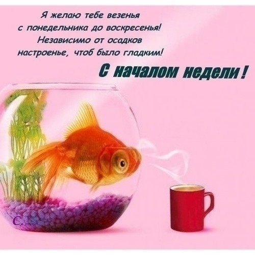 Отличного начала недели