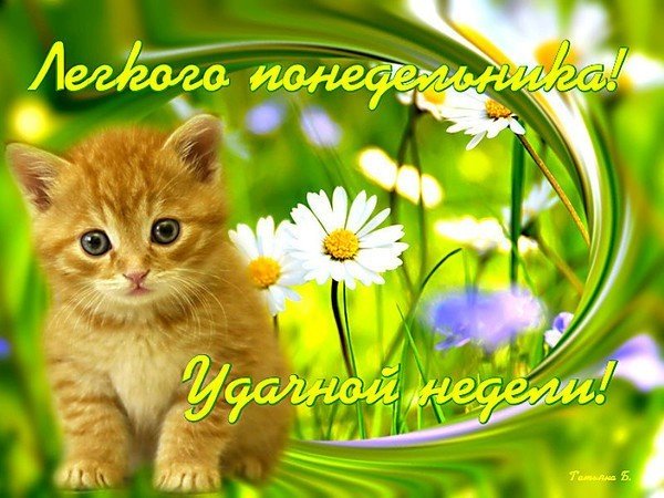 Поздравление с понедельником