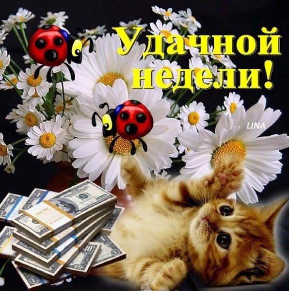 Лёгкого понедельника и удачной недели