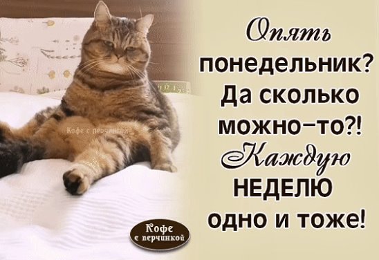 Понедельник , опять понедельник